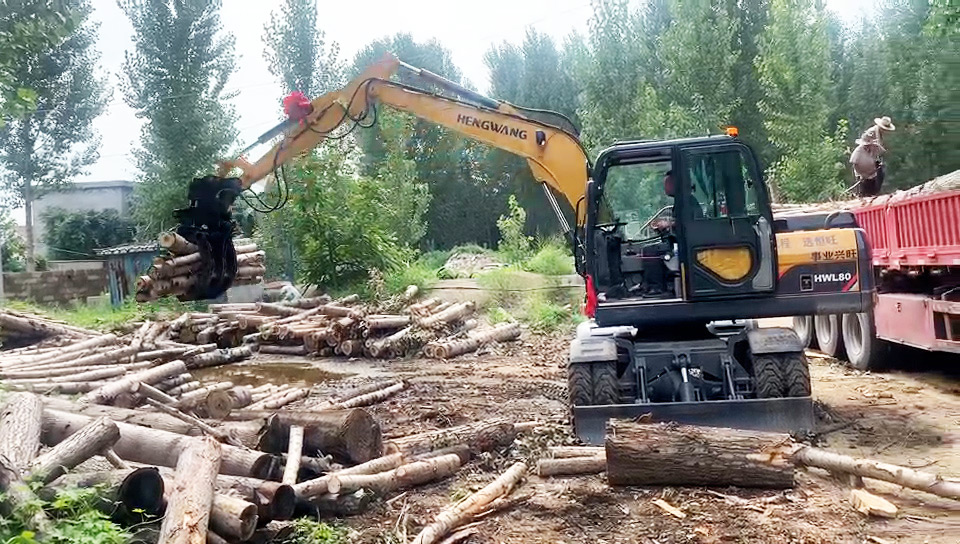 Vietnam: Logging work in progress...